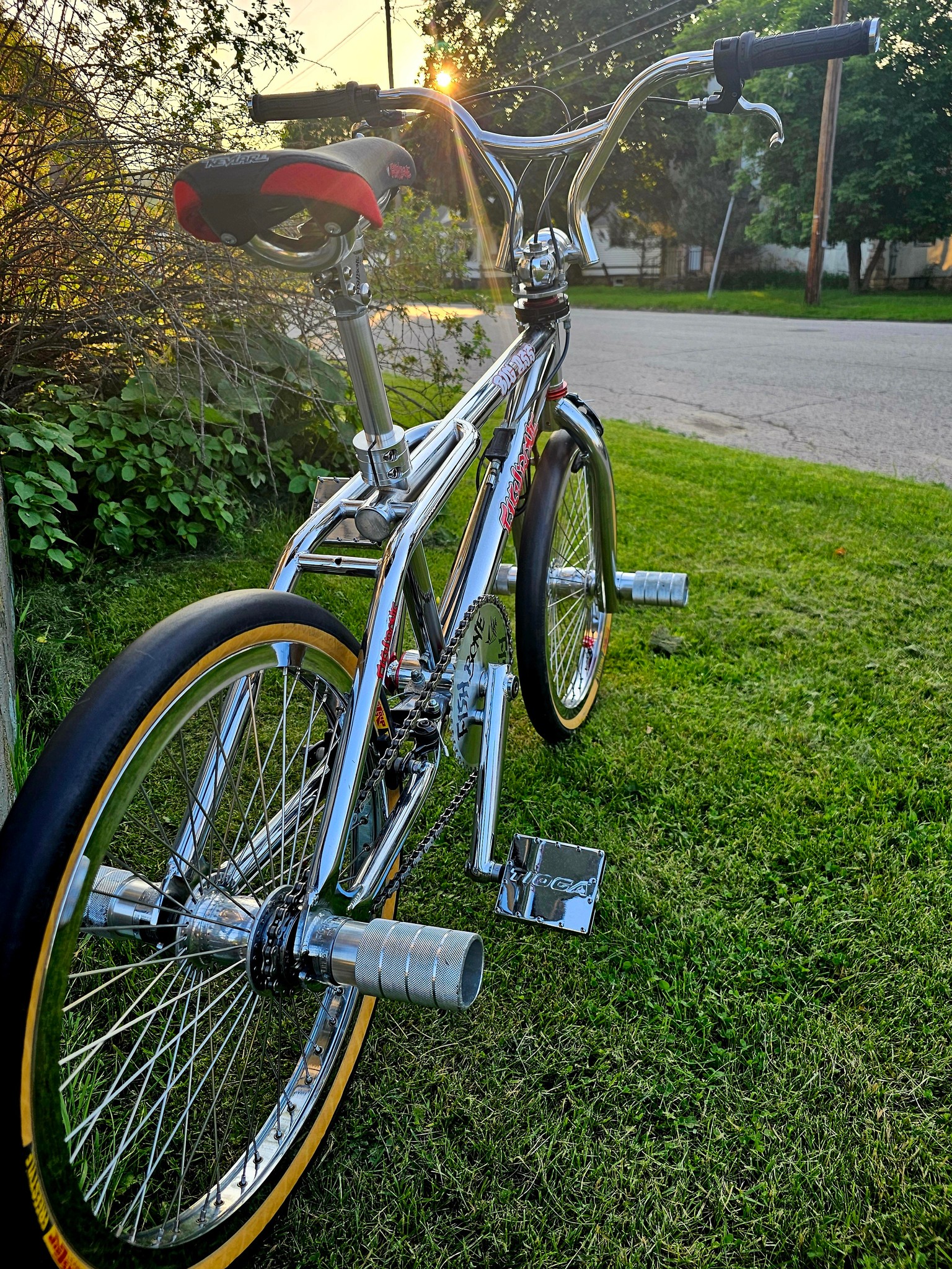 Fishbone BMX bikes as art