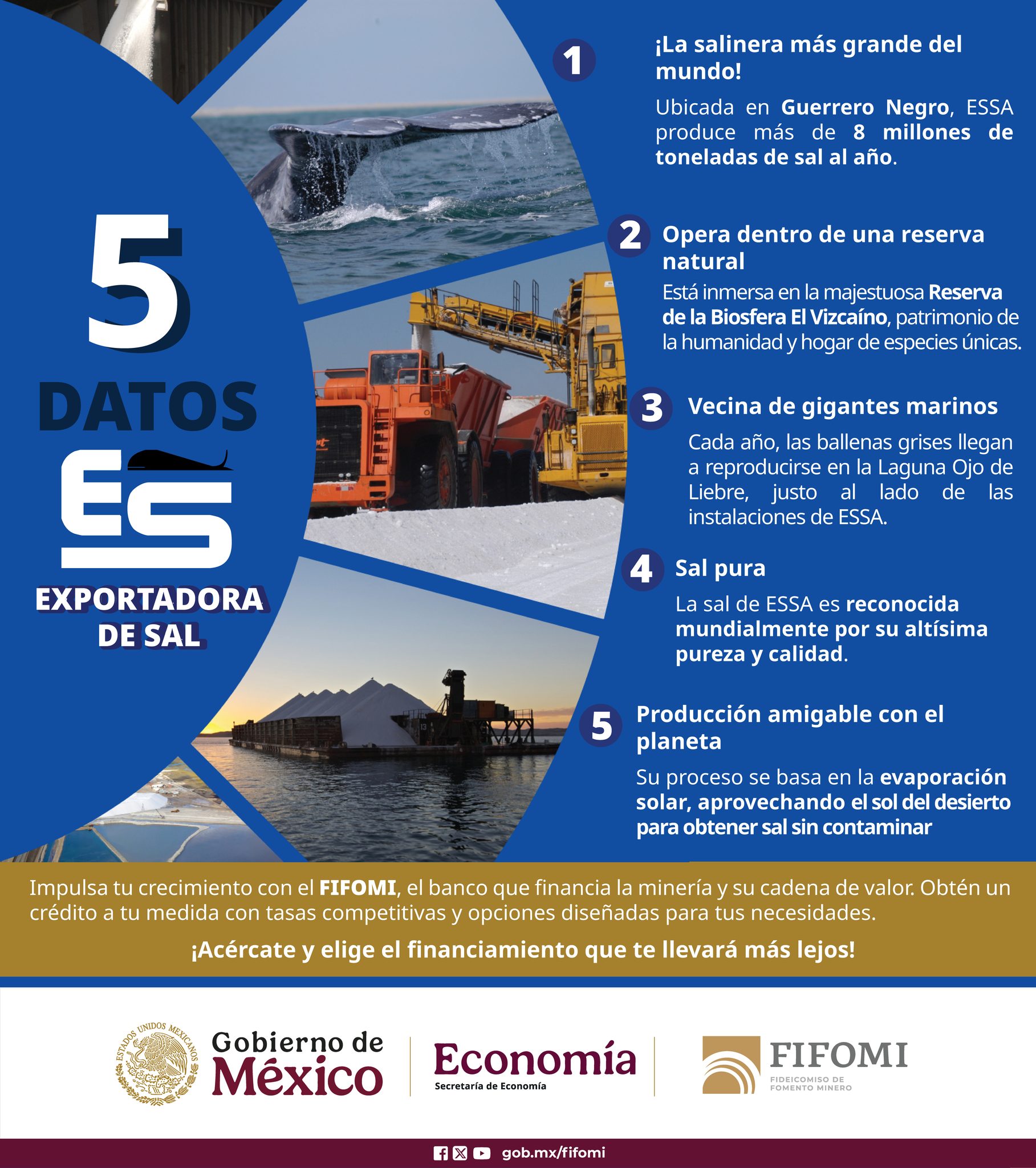 Fideicomiso de Fomento Minero | Mexico City
