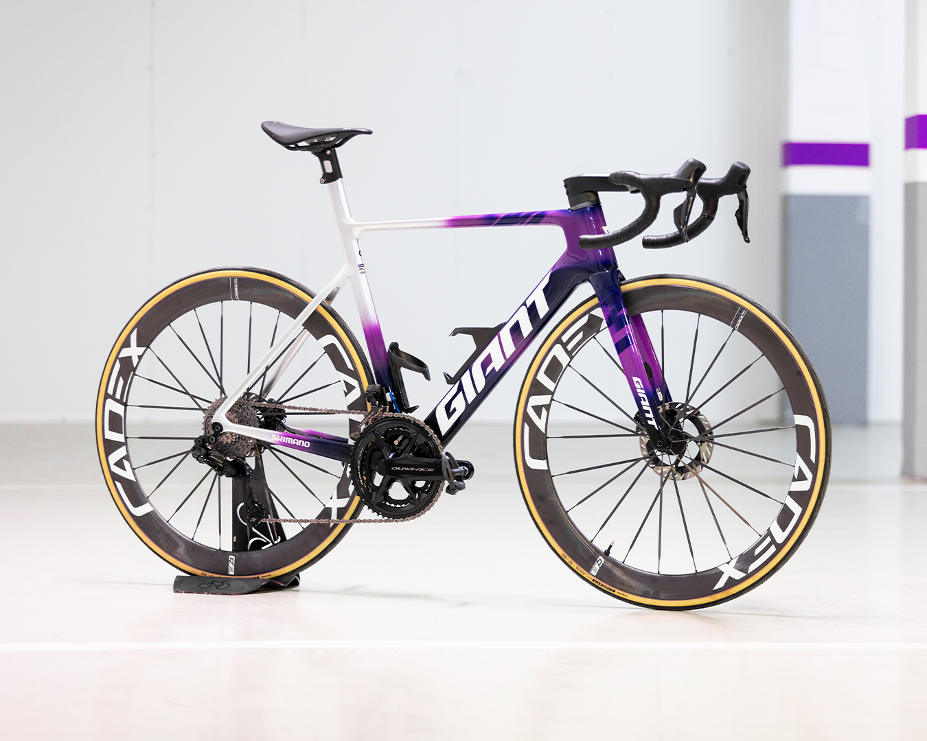 giant bicycles au Cross City 3 Disc Giant Bicycles Australia | The