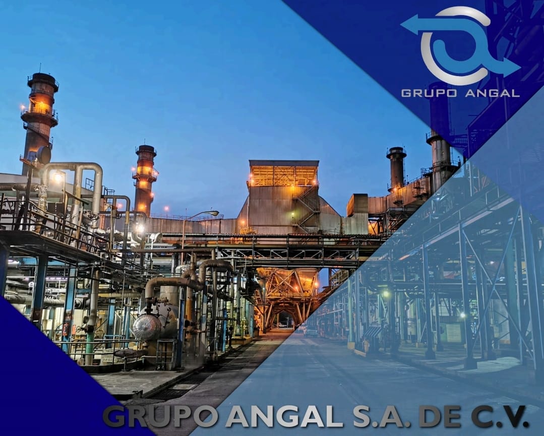Grupo Angal
