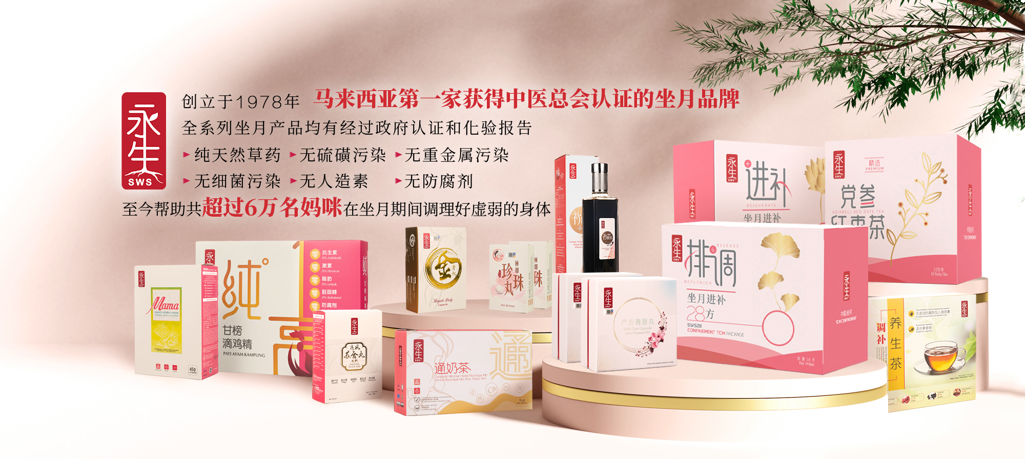 Classic Waist Tonic 经典补腰精