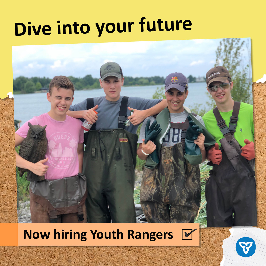 Ontario - Stewardship Youth Rangers – Starter Pack! 🚨 Eligibility Check ...