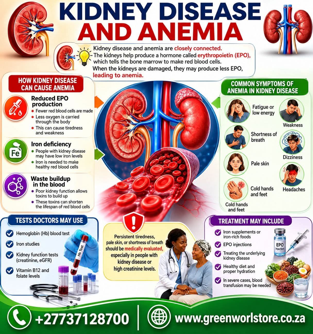 Hypoxia contributes to renal inflammation, fibrosis, and complications of chronic kidney disease (CKD) such as anemia, cardiovascular events, and muscle loss (sarcopenia). If you notice symptoms of hypoxia, it's essential to consult