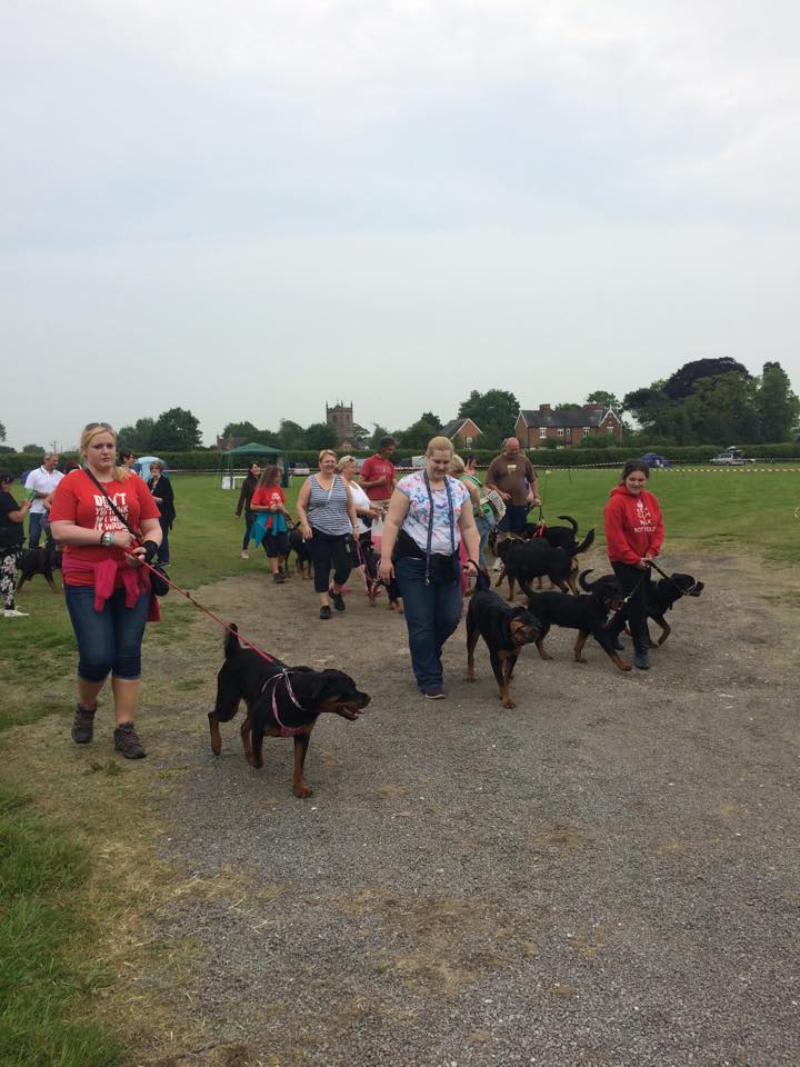 Rottie Rumble