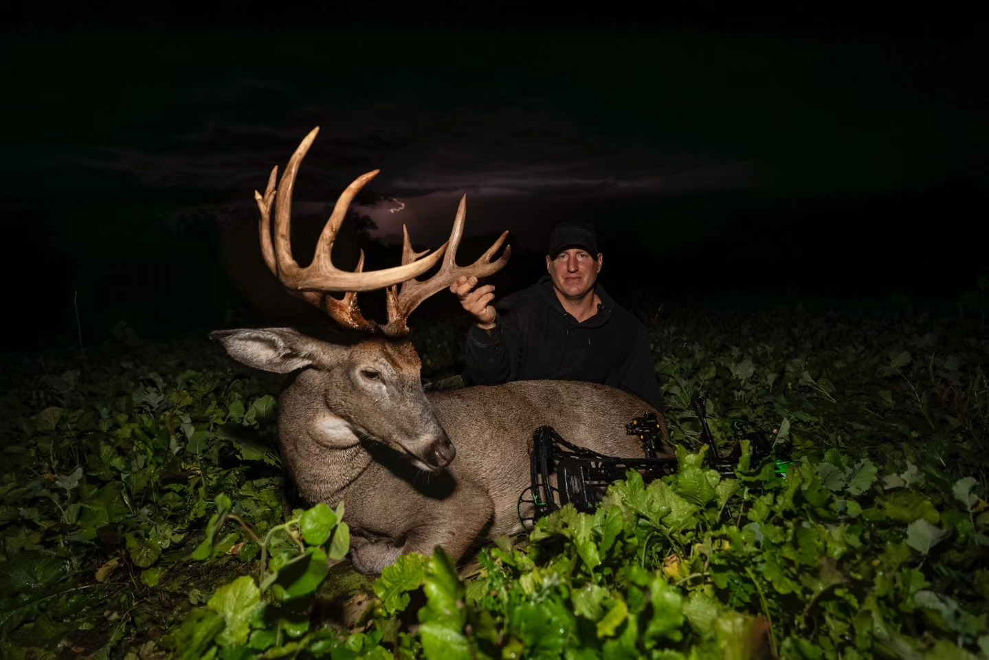 Here's my 2024 Wisconsin archery buck!... - Love The Grind TV | Facebook