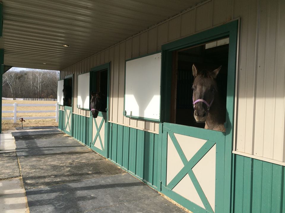 Stable Help Wanted - Missouri | St. Louis MO