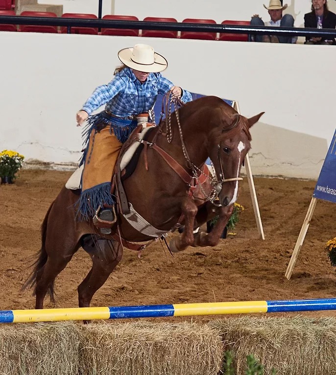 Whole Horse, Whole Rider | Lamy NM