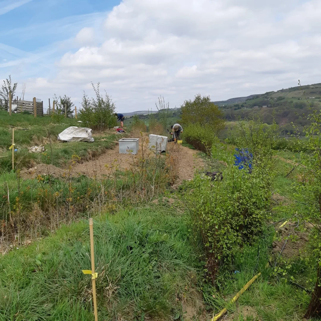 Forus Tree | Hebden Bridge