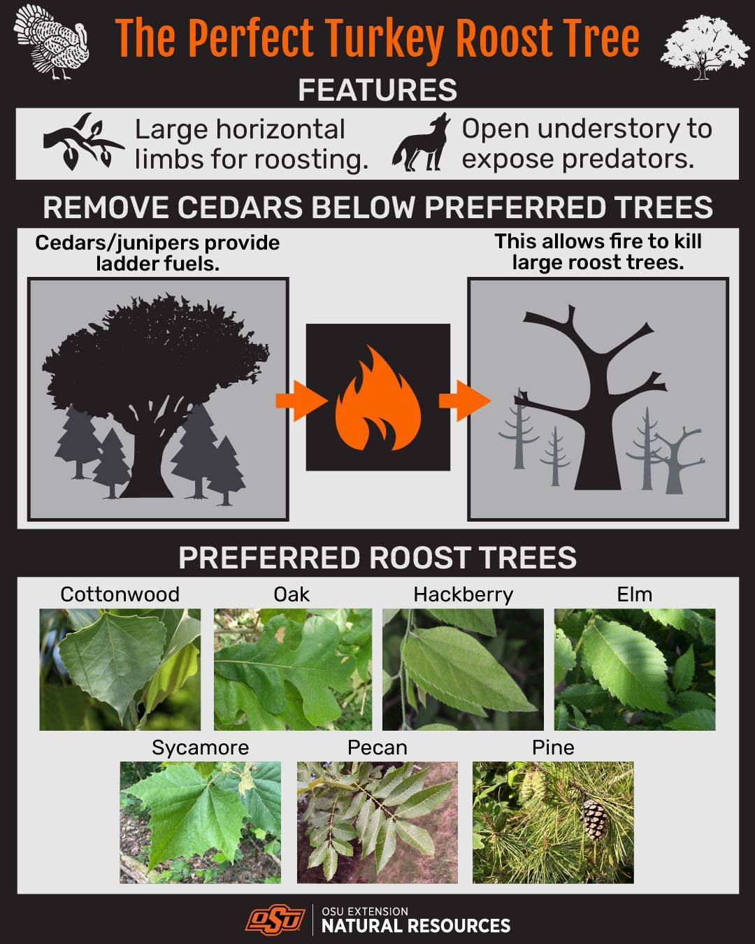 Wha... - Oklahoma State University Natural Resources Extension | Facebook