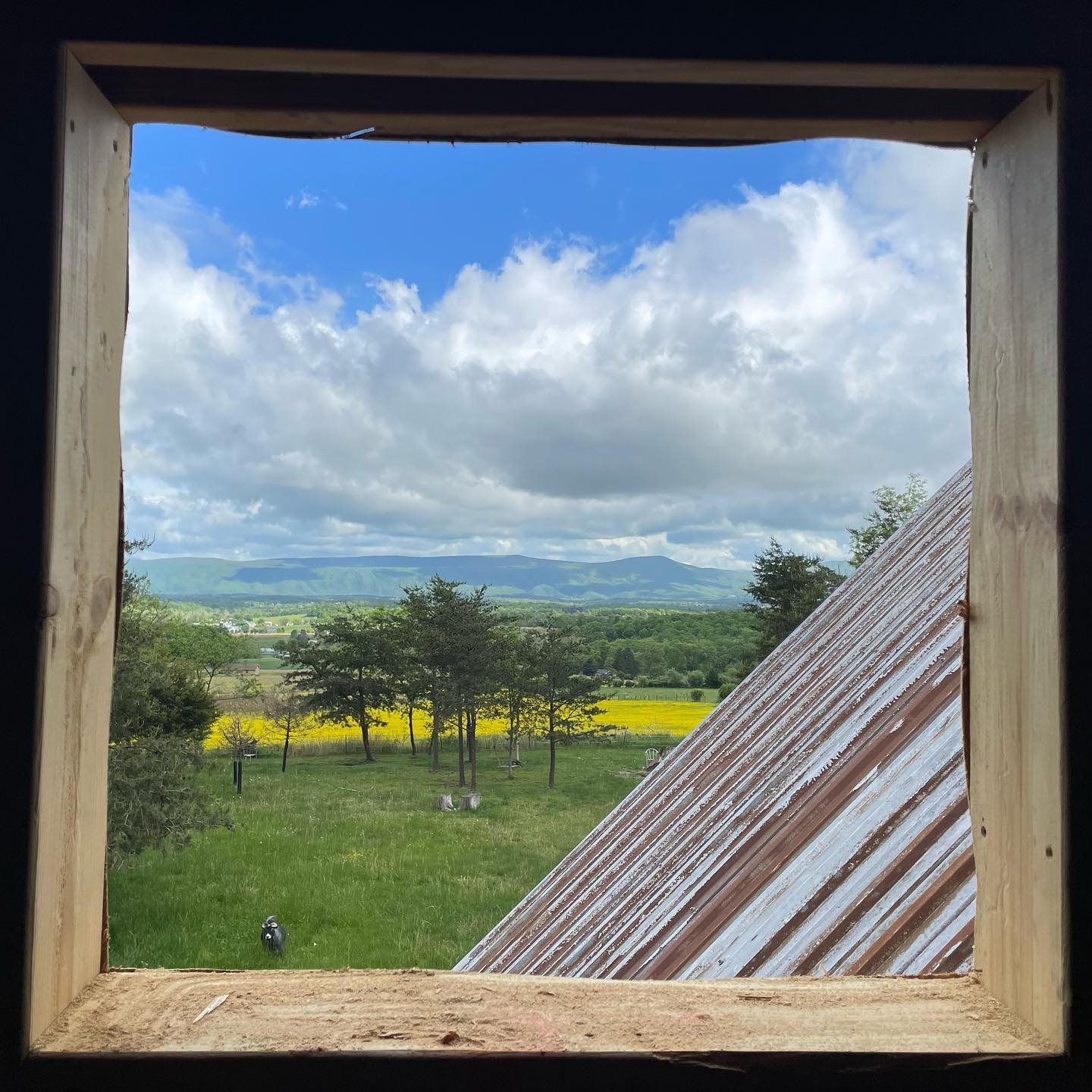 Longhouse - 🖼 How great is this view from the (in progress) # ...