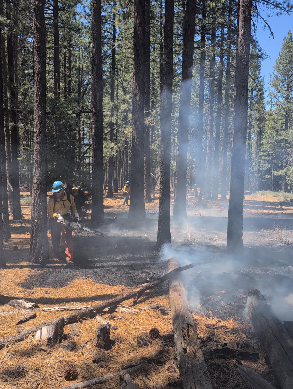 Th... - U.S. Forest Service - Lake Tahoe Basin Management Unit | Facebook