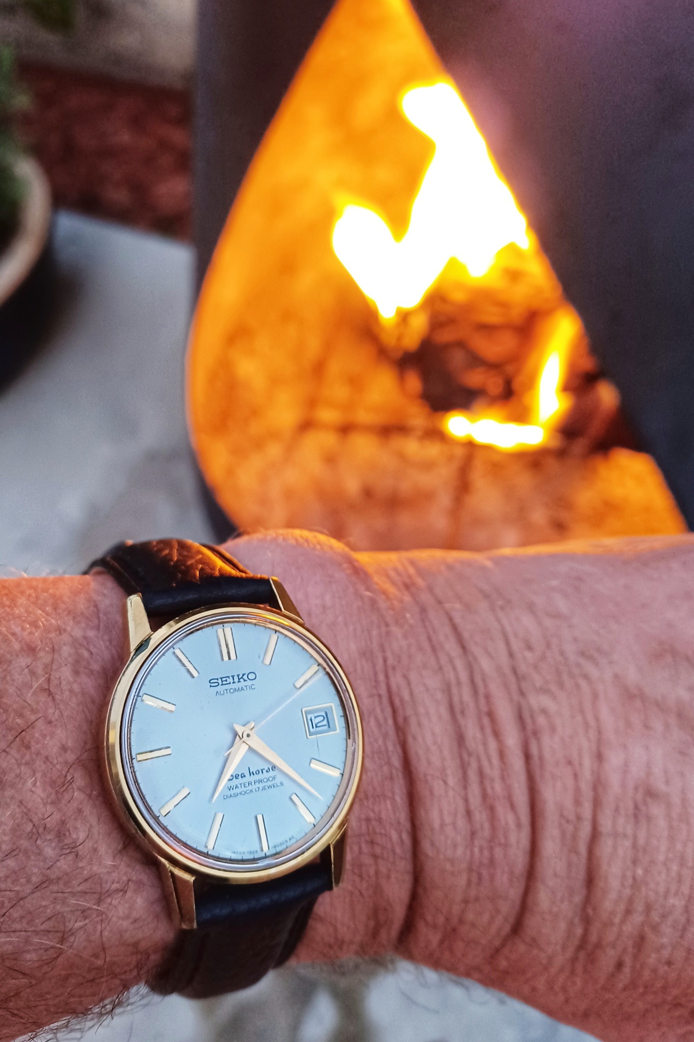 Seiko SkyLiner Special Dial SeaHorse Y1962s