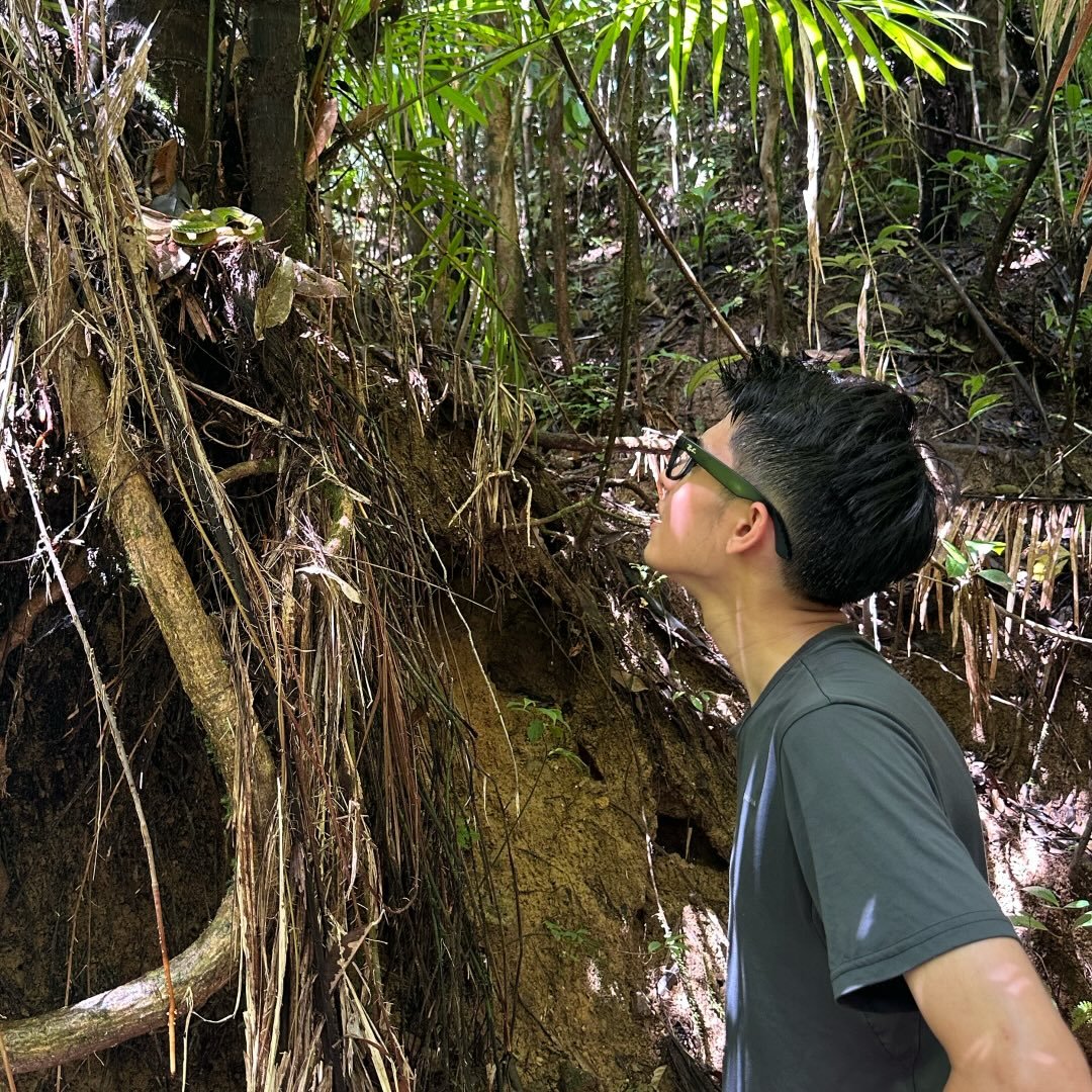 Part 3 of searching for every snake in Perth. Here, we search for what ...