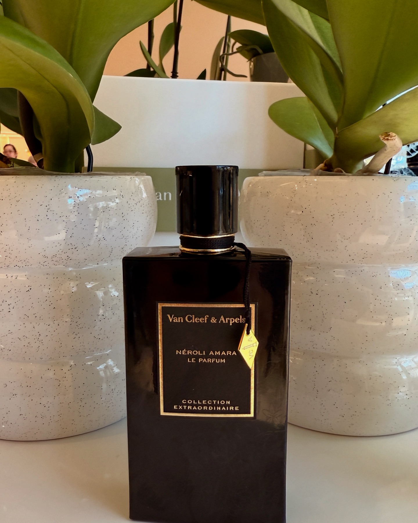Van Cleef & Arpels Neroli Amara Eau de Parfum Floral, green, and 