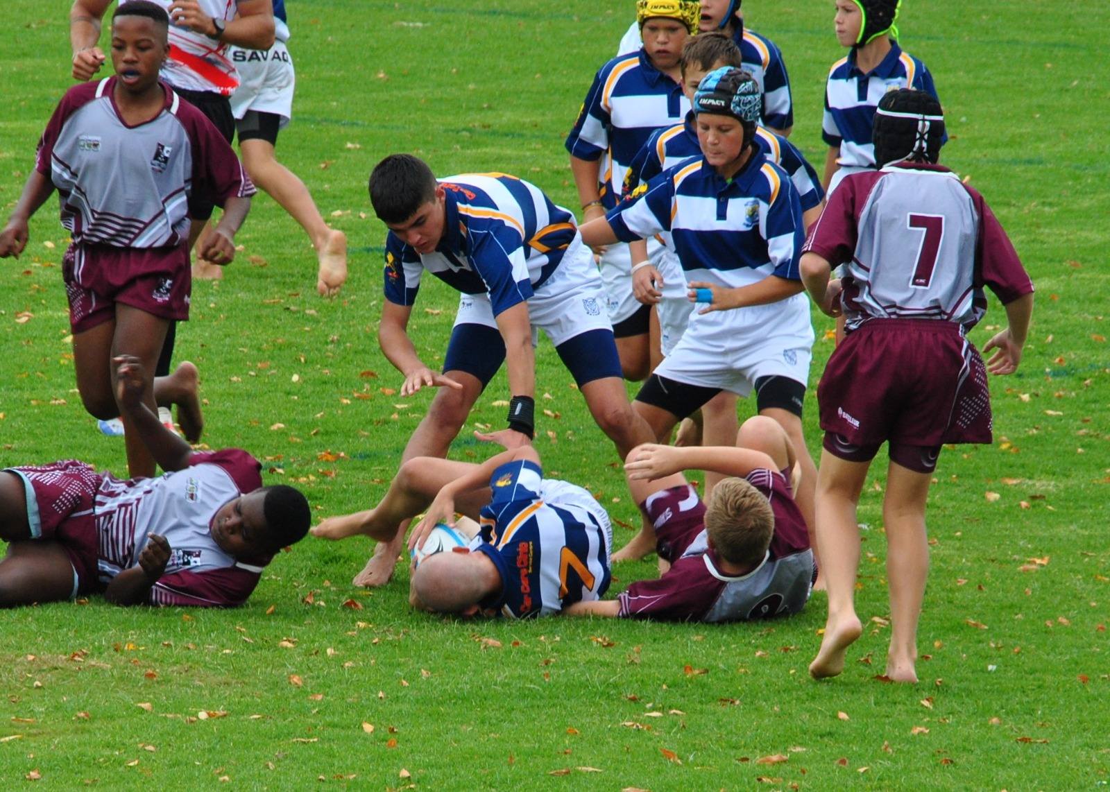 Laerskool Protearif... - Laerskool Protearif -Amptelik