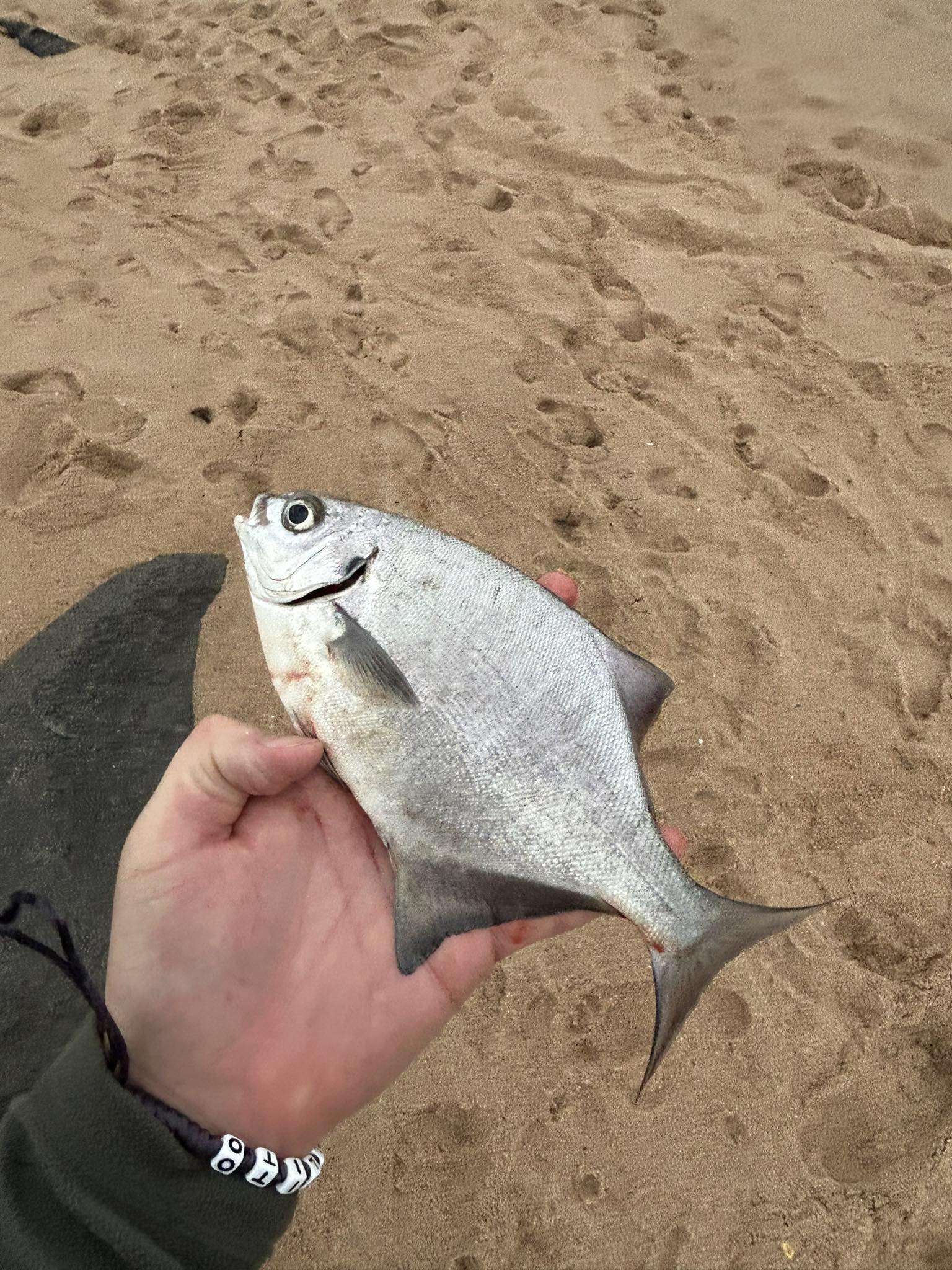 fish on lures ballito (1pc) Saltwater Fishing Ballyhoo Rig with Mylar Skirt. Dolphin Mahi Tuna Offshore Fishing Lure. 7/0 Hook, 150lb Mono, Blue Squid Skirt. Ocean Trolling Ballyhoo Rig Big Game Fishing Lure How to Fish With Lures