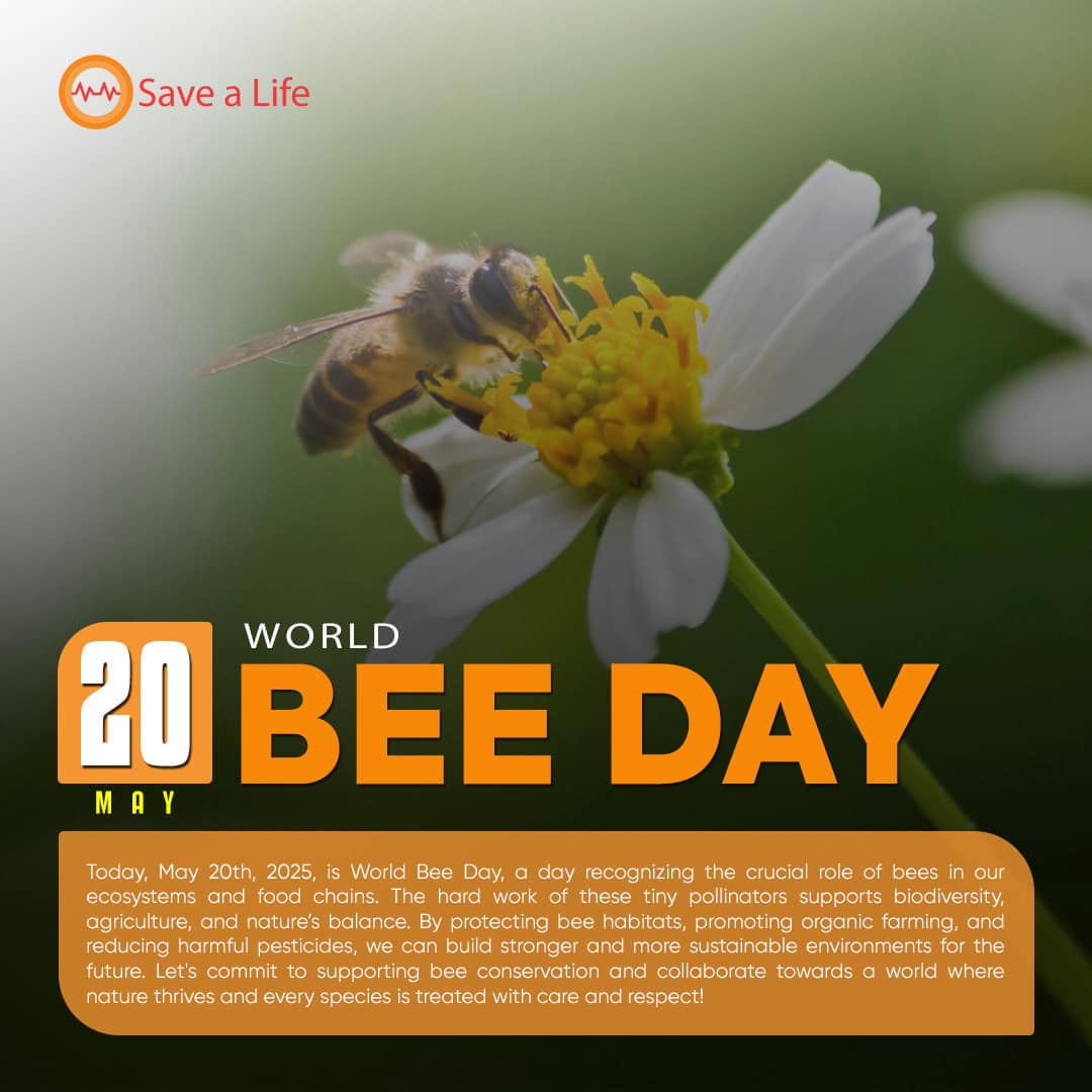 Save - Today May 20th 2025 is World Bee Day, a day recognizing the ...