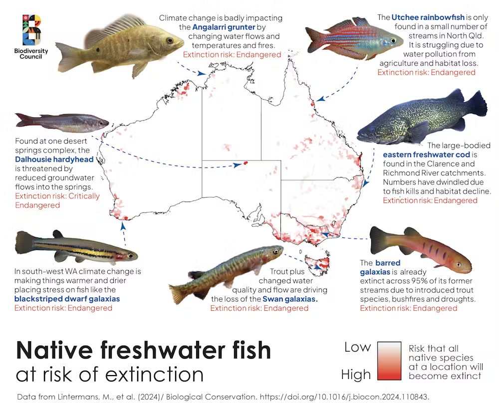 Three-quarters of Australia’s... - Fish in the News | Facebook
