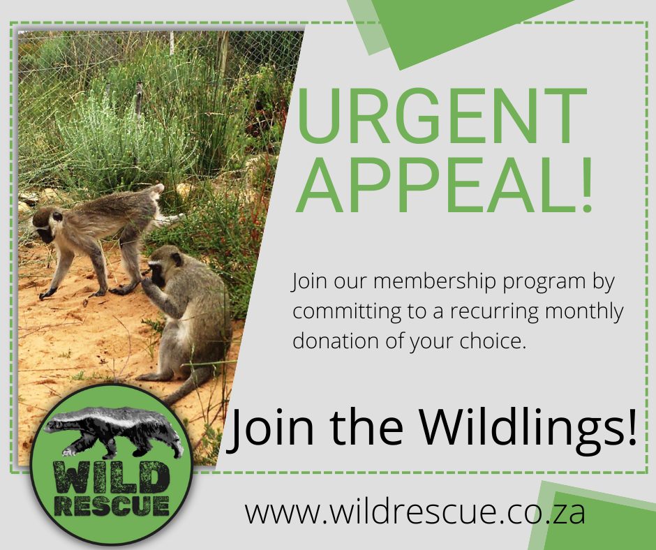 Wild Rescue NPO | Riversdale