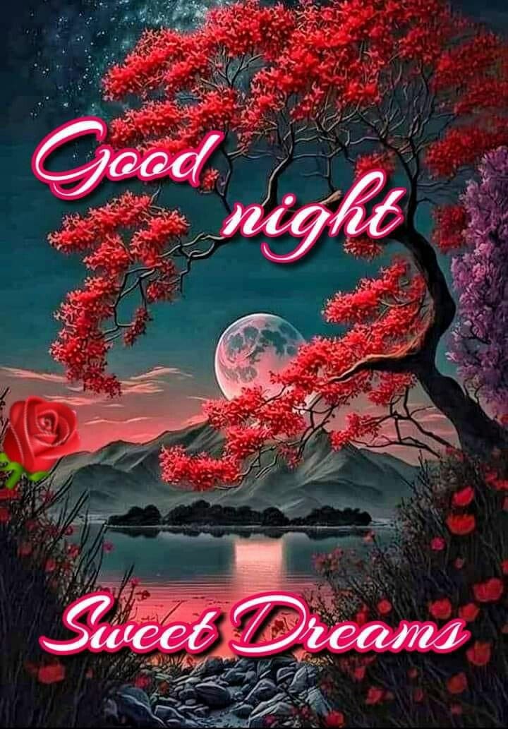晚安Goodnight 晚安 Good night 平安順心 吉祥好眠
