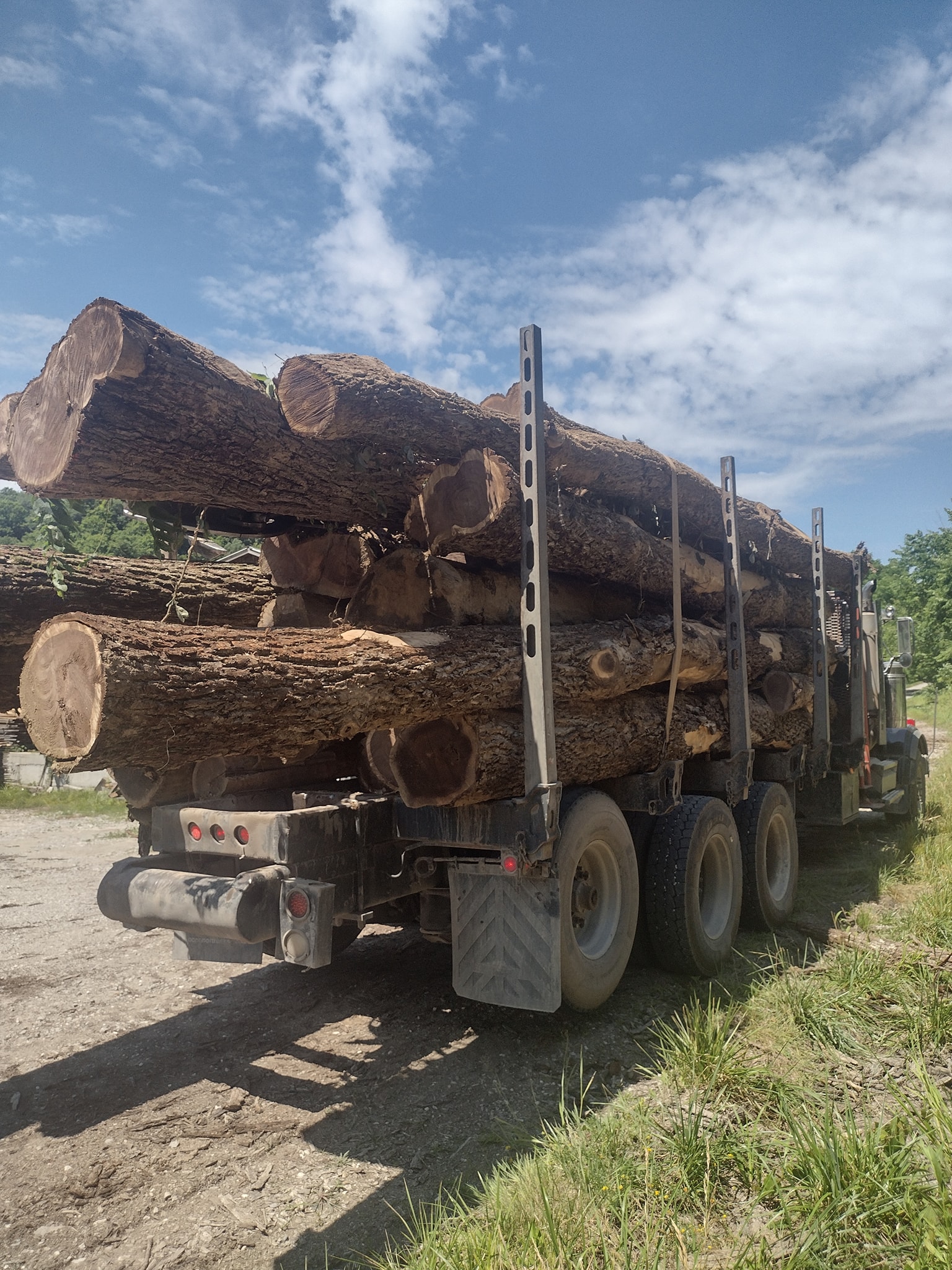 lydick logging & contracting, llc | Woodsfield OH