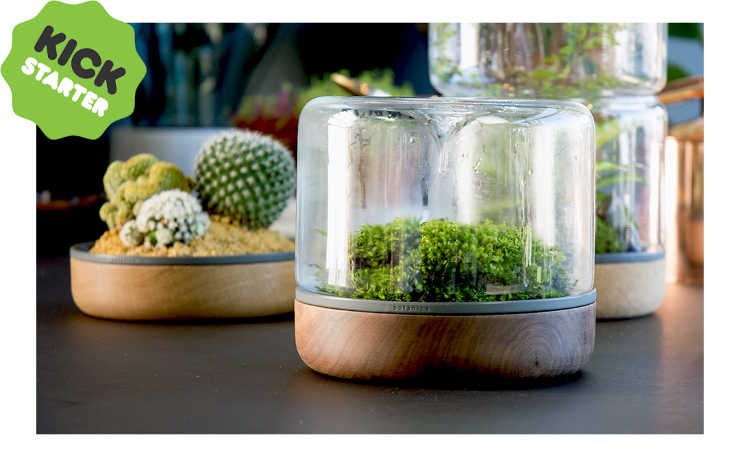 Botanica - The first modular tabletop terrarium system.... | Facebook