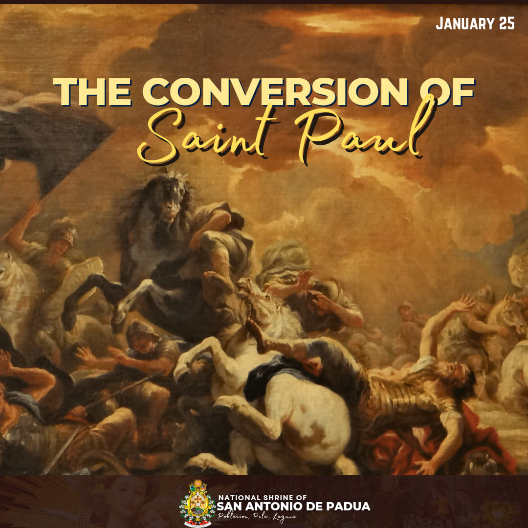 The Conversion of St. Paul || January 25 For to me, to live is Christ ...