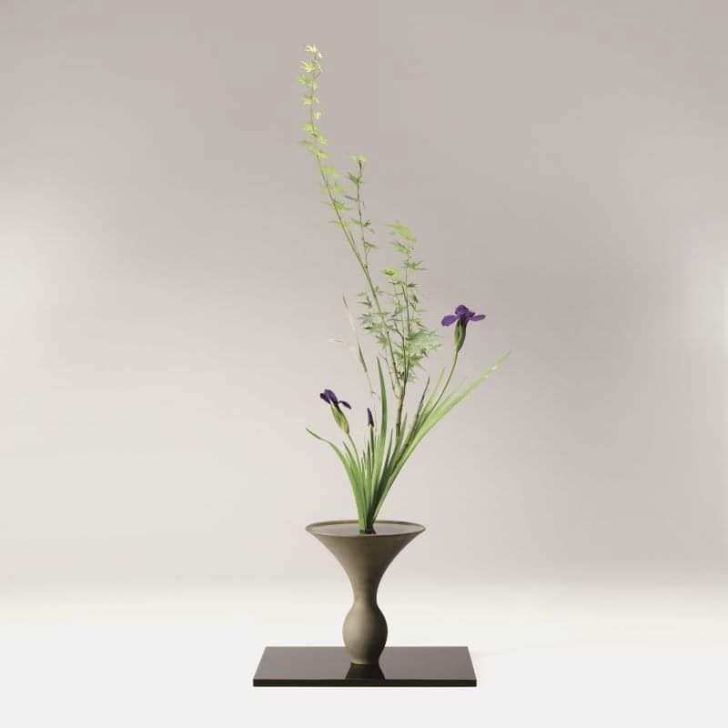 ザ・池坊5月号・生花正風体二種生 #ikebana #ikenobo