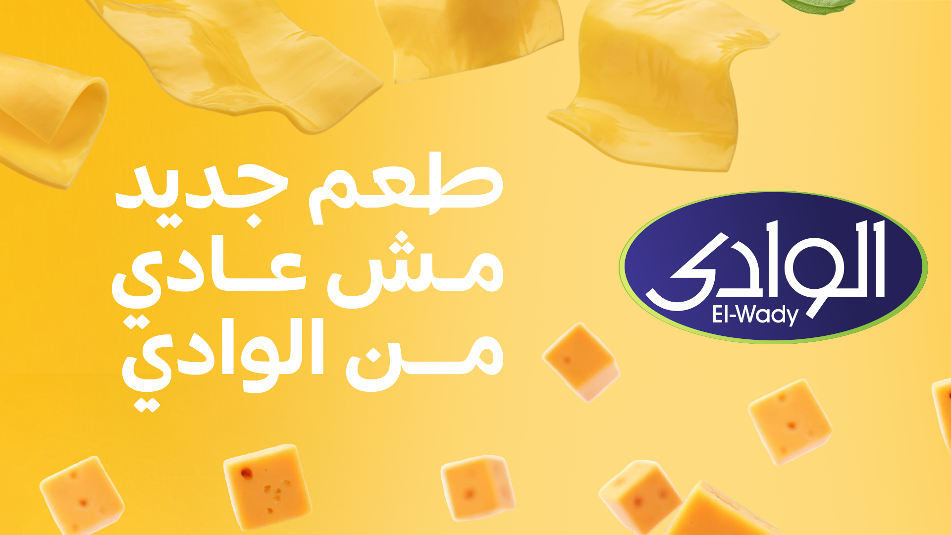ELwady cheese جبنة الوادي