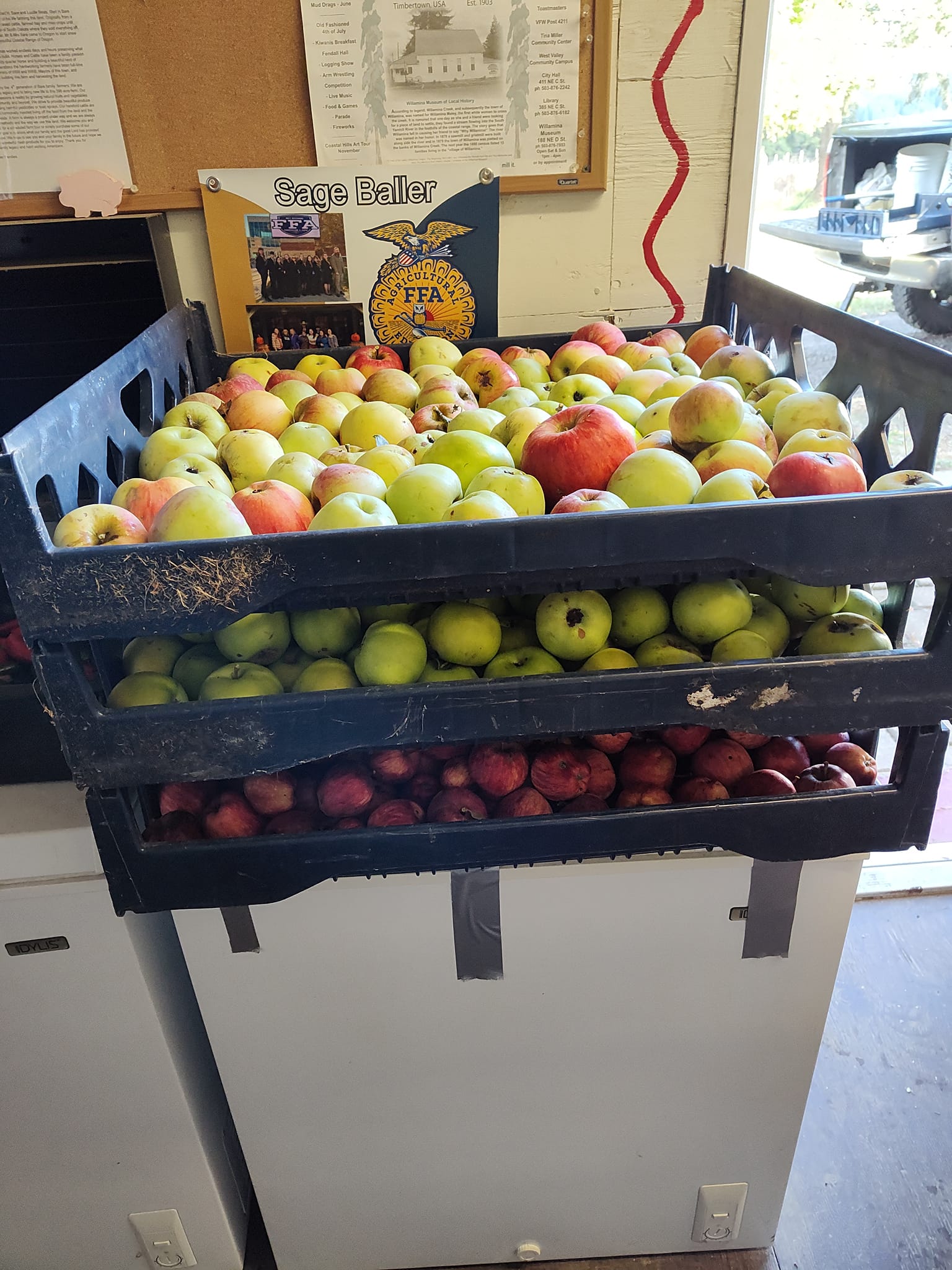 Willamina Farmer's Market | Willamina OR