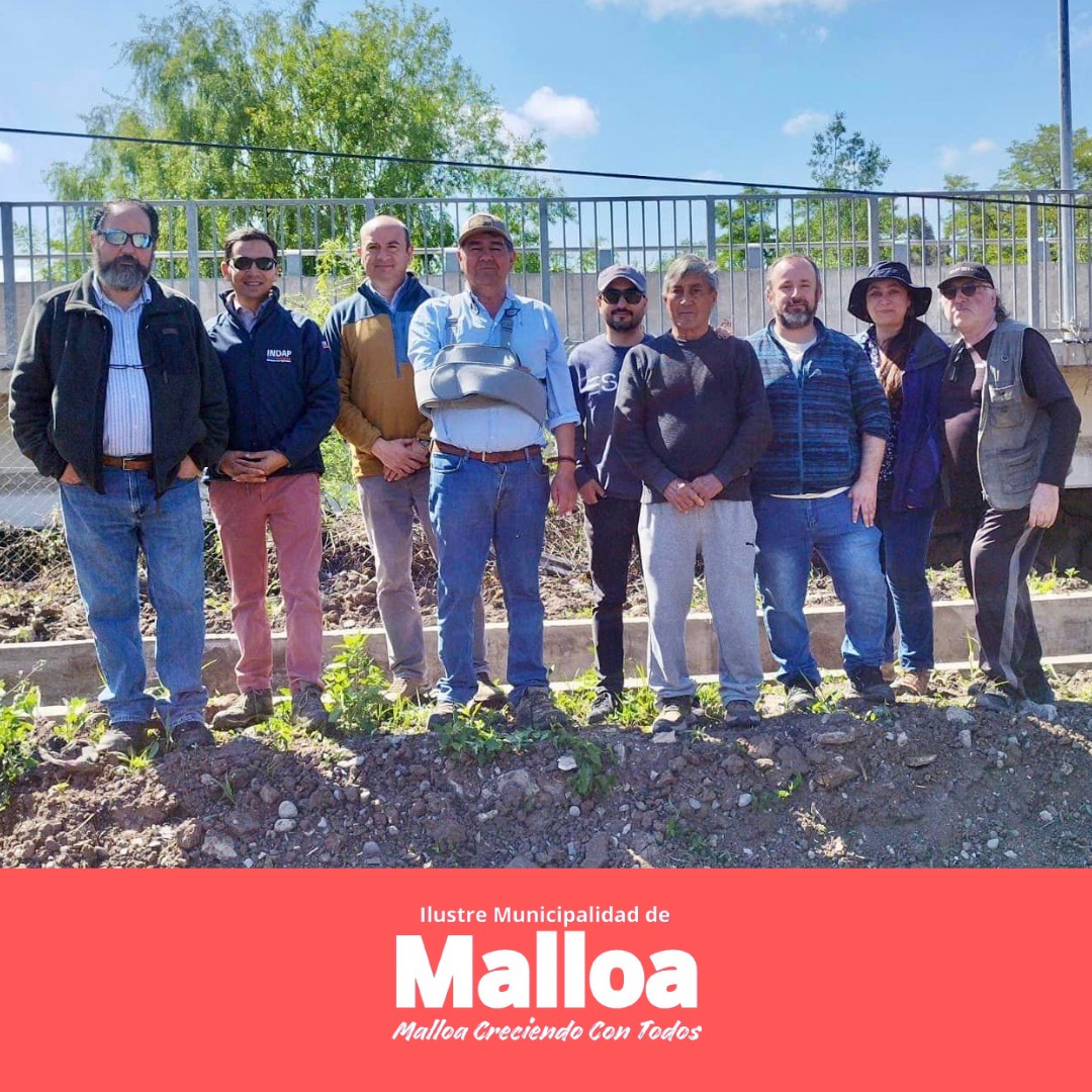 🌱 Impacto positivo en... - Ilustre Municipalidad de Malloa