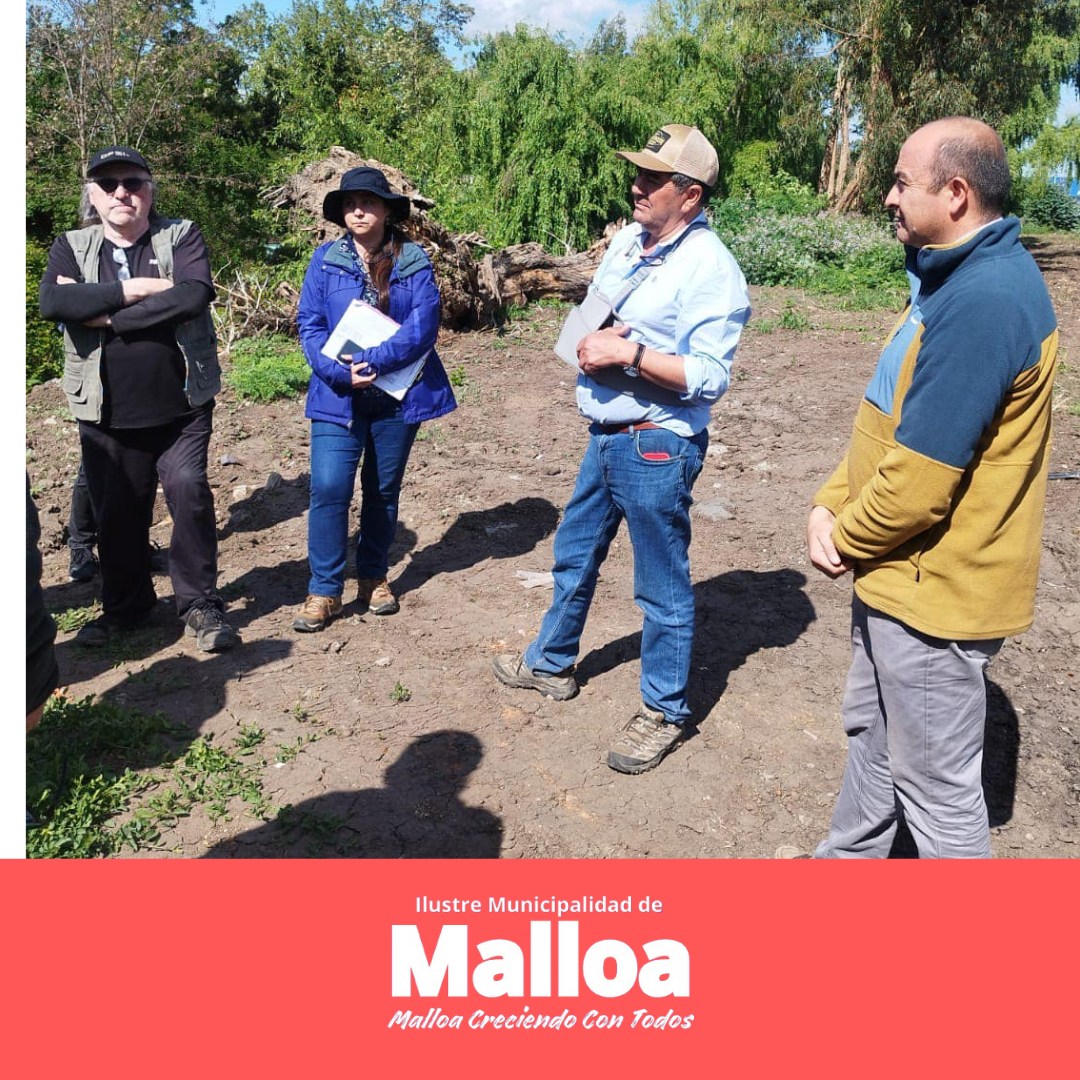 🌱 Impacto positivo en... - Ilustre Municipalidad de Malloa