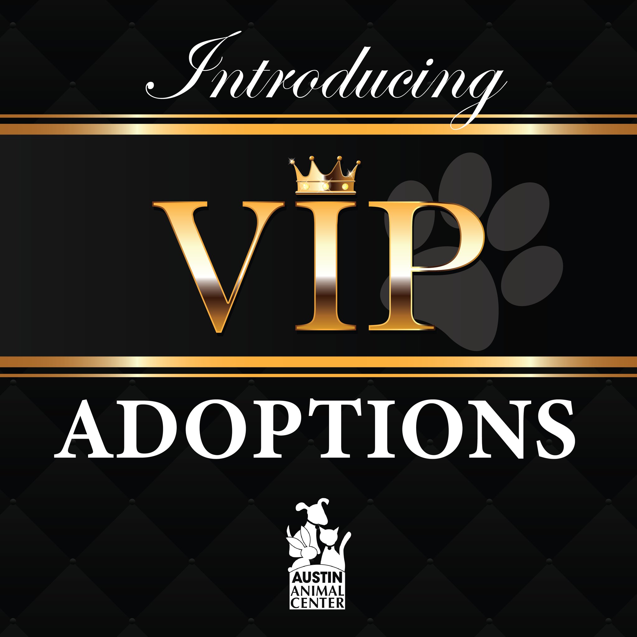 Austin - 💎 Introducing the new VIP Adoptions program! 💎 Are you ready ...