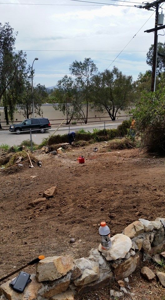 Master Tree Services | San Diego CA