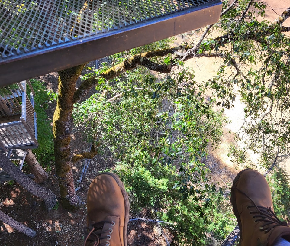 Treehouse Ziplines | Cave Junction OR