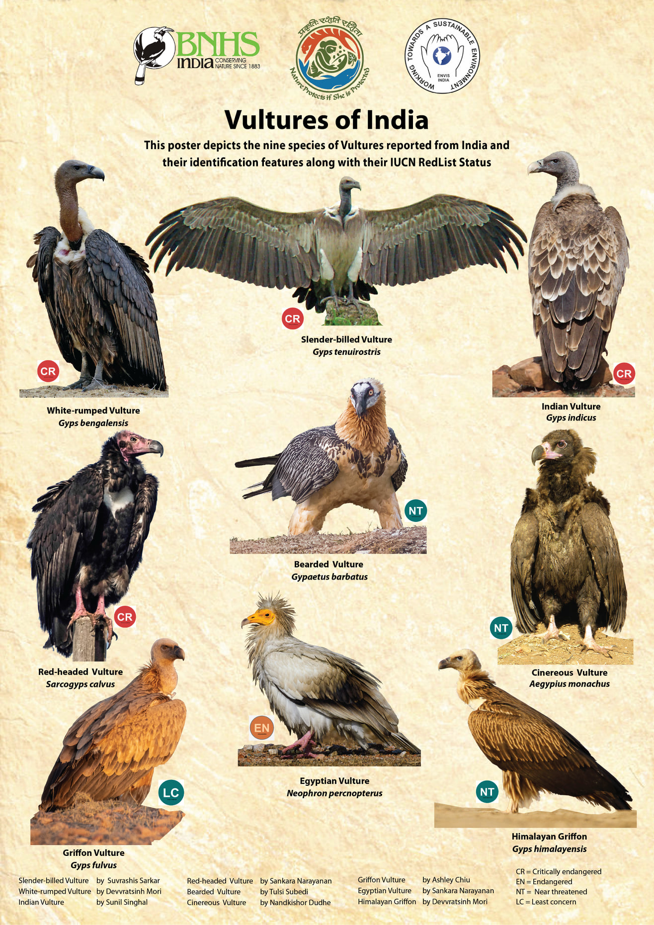 Raptor Study Group | Poster published on 3rd March depicting all 9 ...
