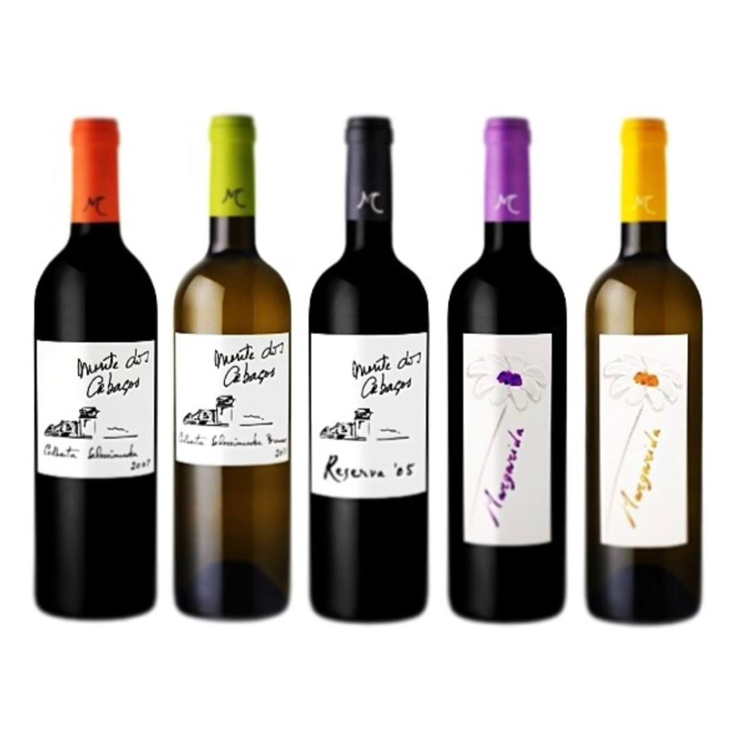 Sabe Vinho - Inês Carrão, Enóloga