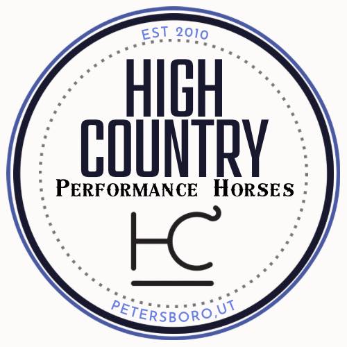 2026 Black Filly.... - High Country Performance Horses | Facebook