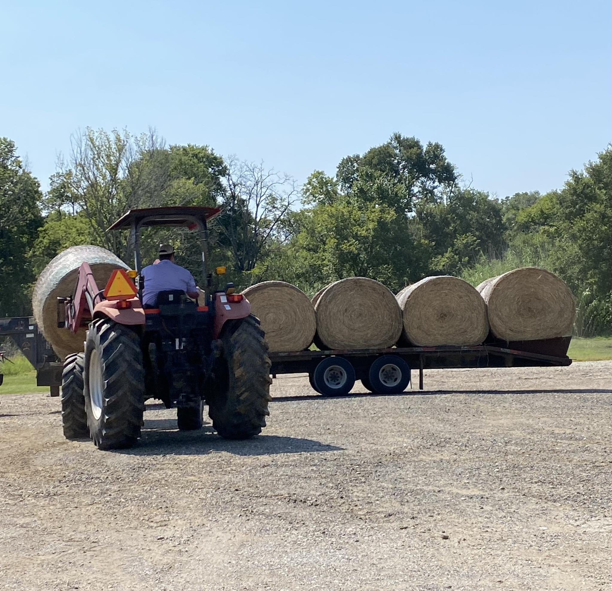 Homeyer Feed | Caldwell TX