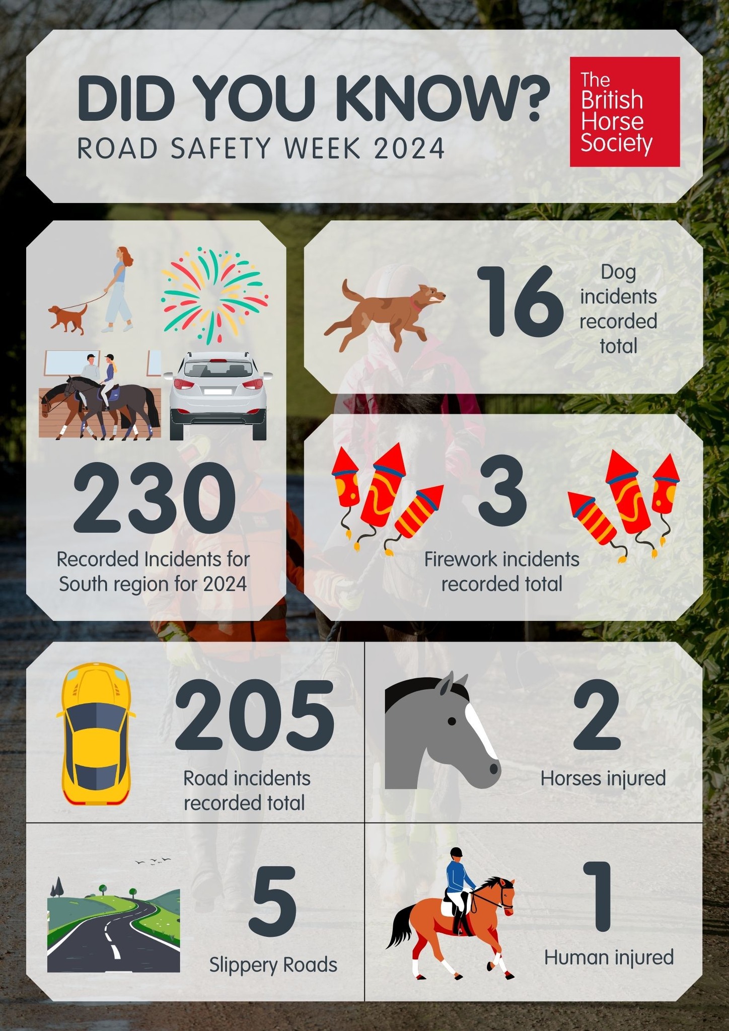 The British Horse Society - South Region - 🚦 It's Road Safety Week! 🚦 ...