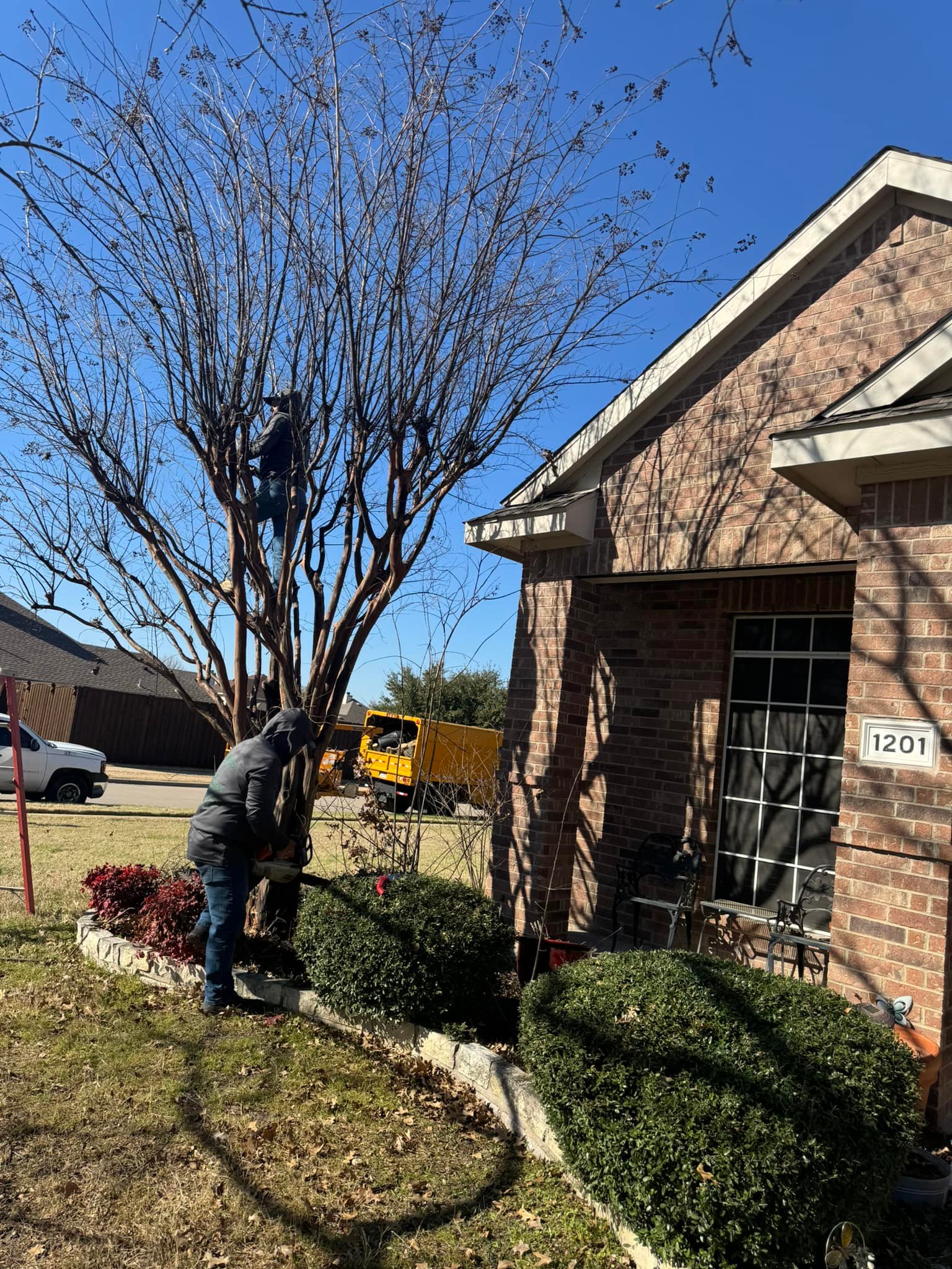 Ultimate Tree Service