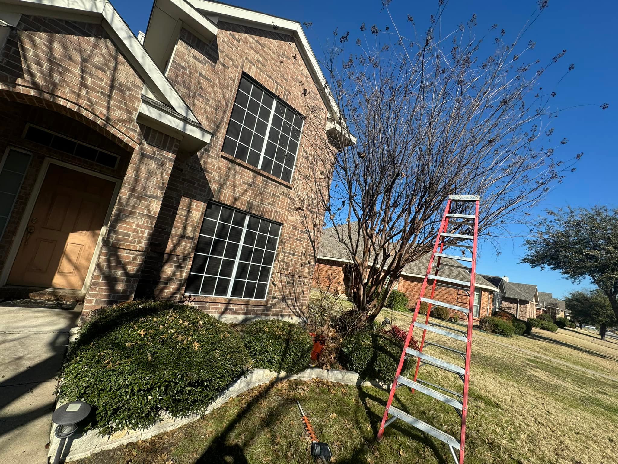 Ultimate Tree Service