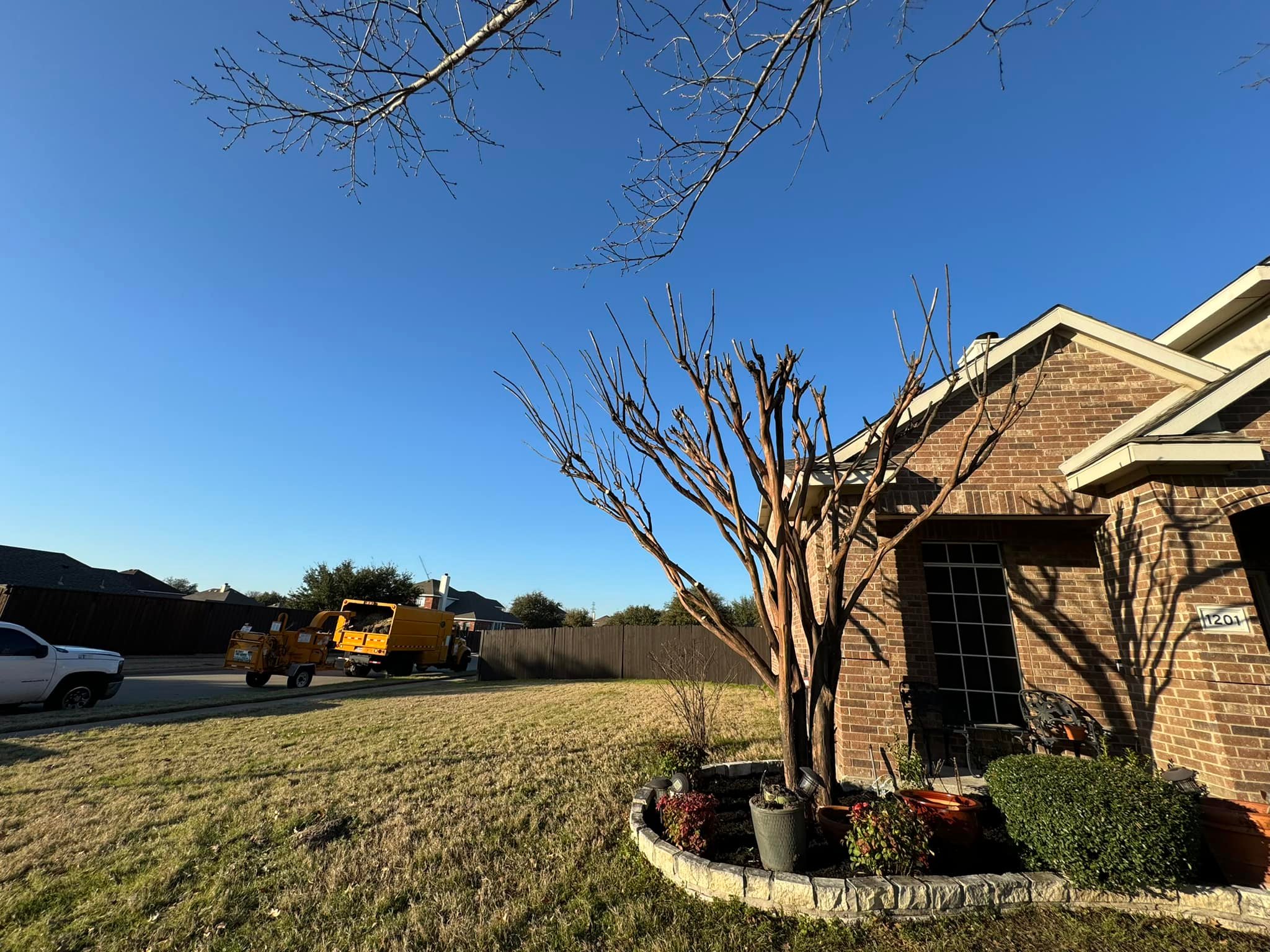 Ultimate Tree Service