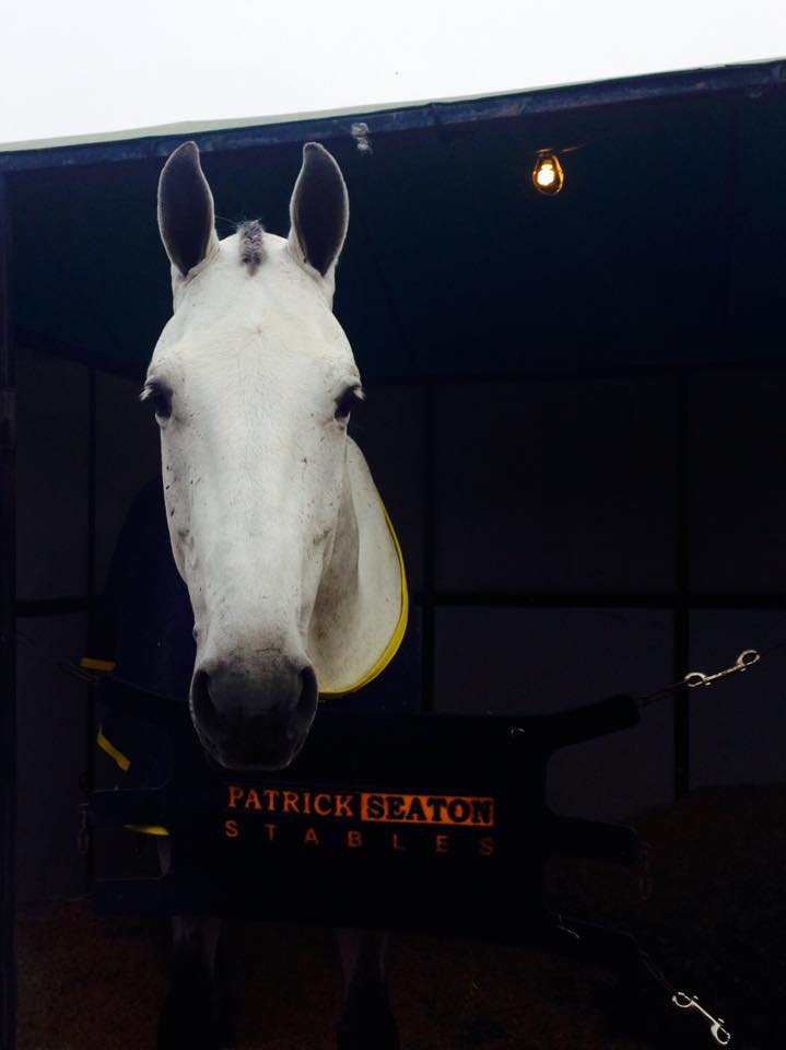 Super day at Woodside. 1st... - Patrick Seaton Stables, LLC