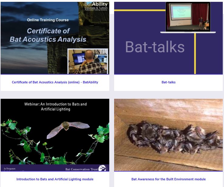 Bat - Have you explored our new eLearning platform? We are pleased to ...
