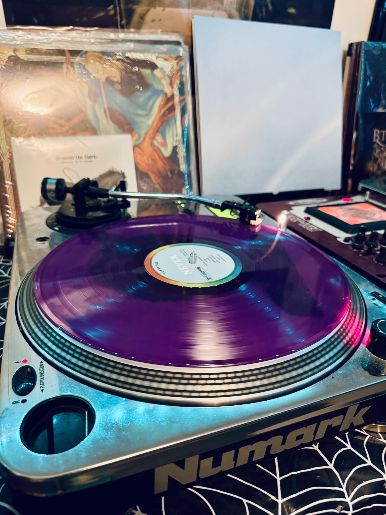 Limited edition periwinkle vinyl of Turnstile - Never Enough