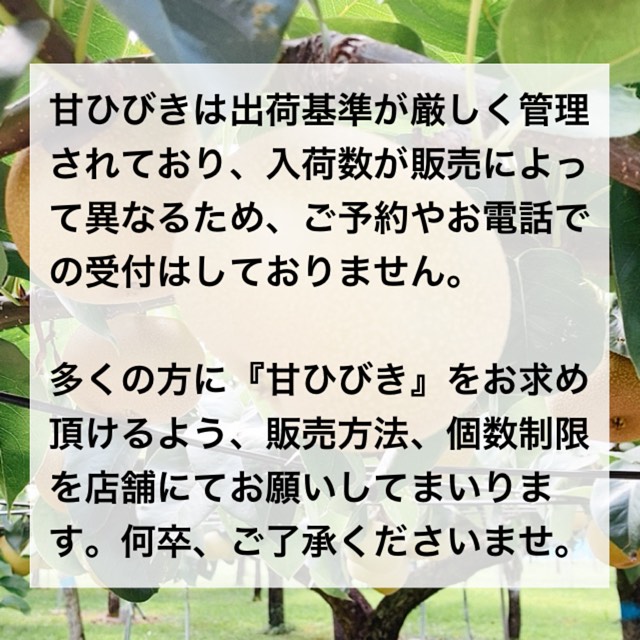 2024年 甘ひびき販売予定】 インスタご来店ありがとうございます