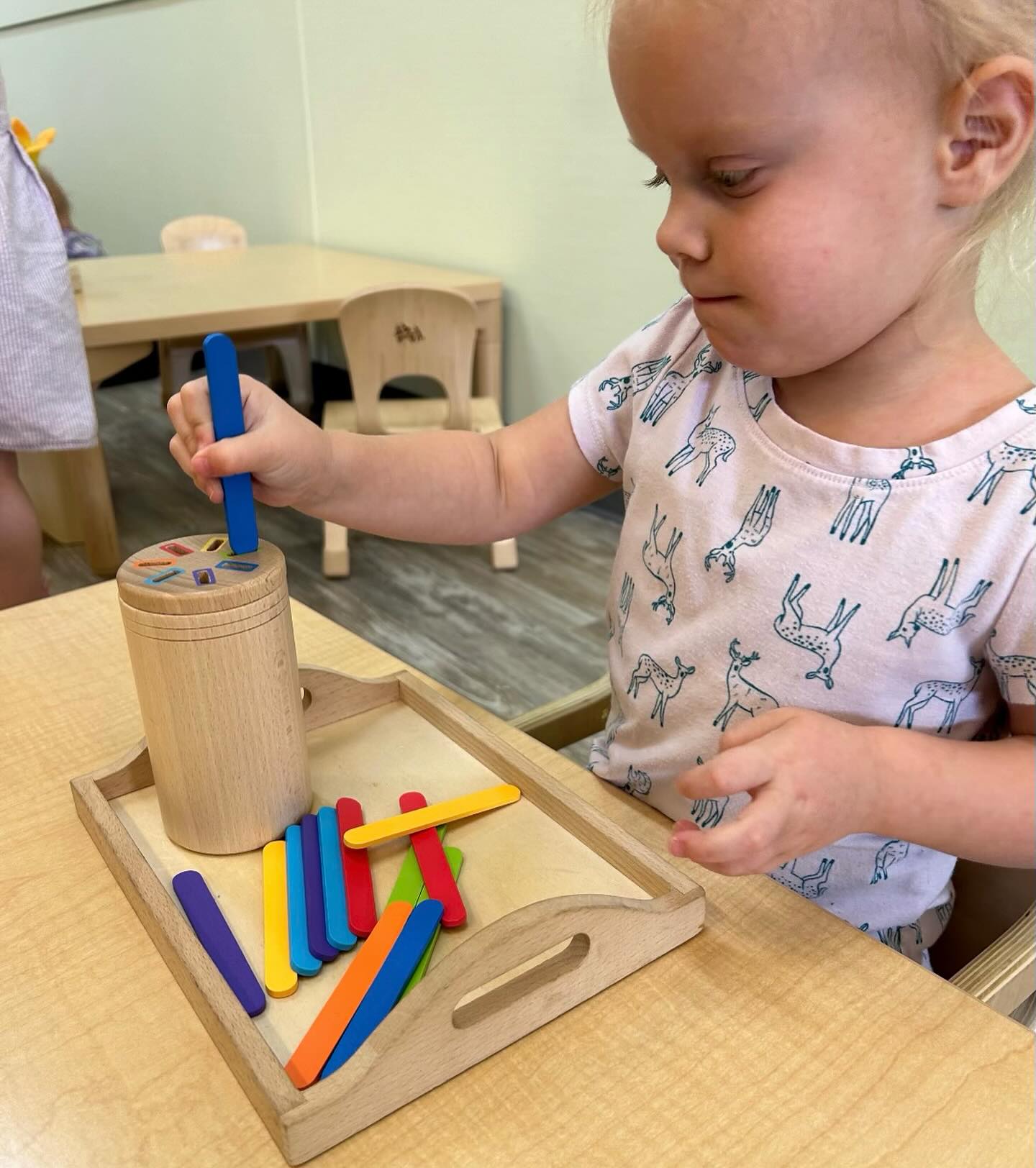 Quality Interactive Montessori | Cave Creek AZ