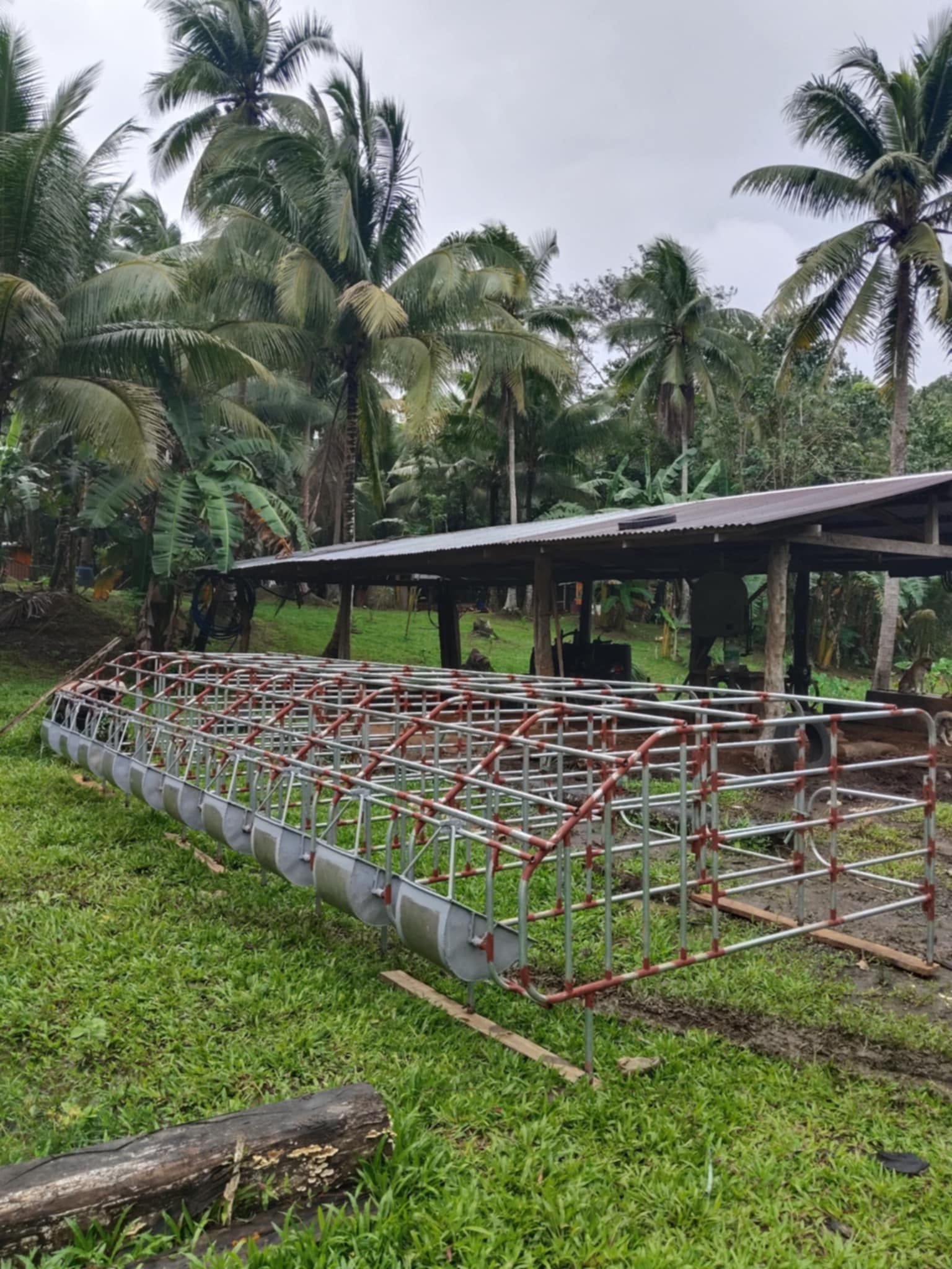 Piggery equipment... - Piggery equipment by:Mhel Furto