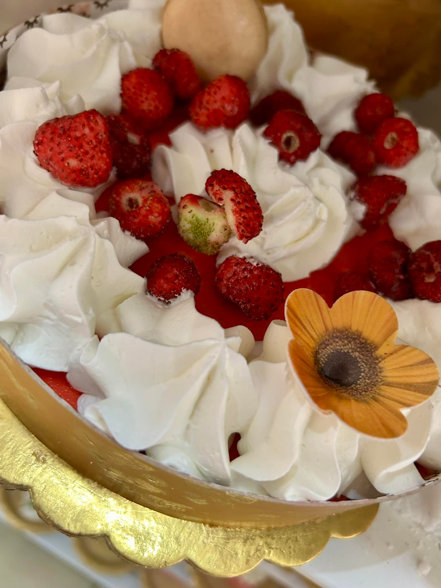 Chantilly coffee & pastry | Ribera